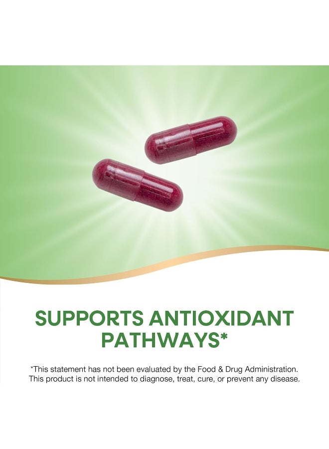 Nature's Way Beet Root Dietary Supplement 500 Mg 100 Capsules - Image 3