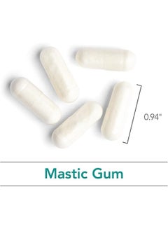 Nutricology Mastic Gum Dietary Supplement - 240 Vegetarian Capsules  - Image 3
