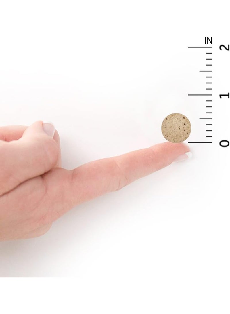 جاردن أوف لايف - مكمل غذائي أورجانيك دايجست بلس - 90 قرص قابل للمضغ - Image 1