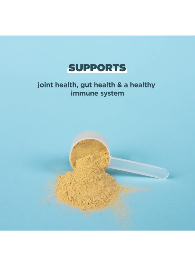Ancient Nutrition Vanilla Bone Broth Protein Powder 1.1lb