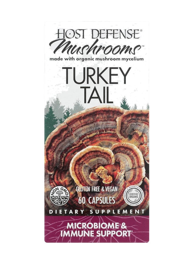 مكمل غذائي توركيش تيل بخلاصة الفطر التركي - العبوة 60 كبسولة نباتية - Image 1