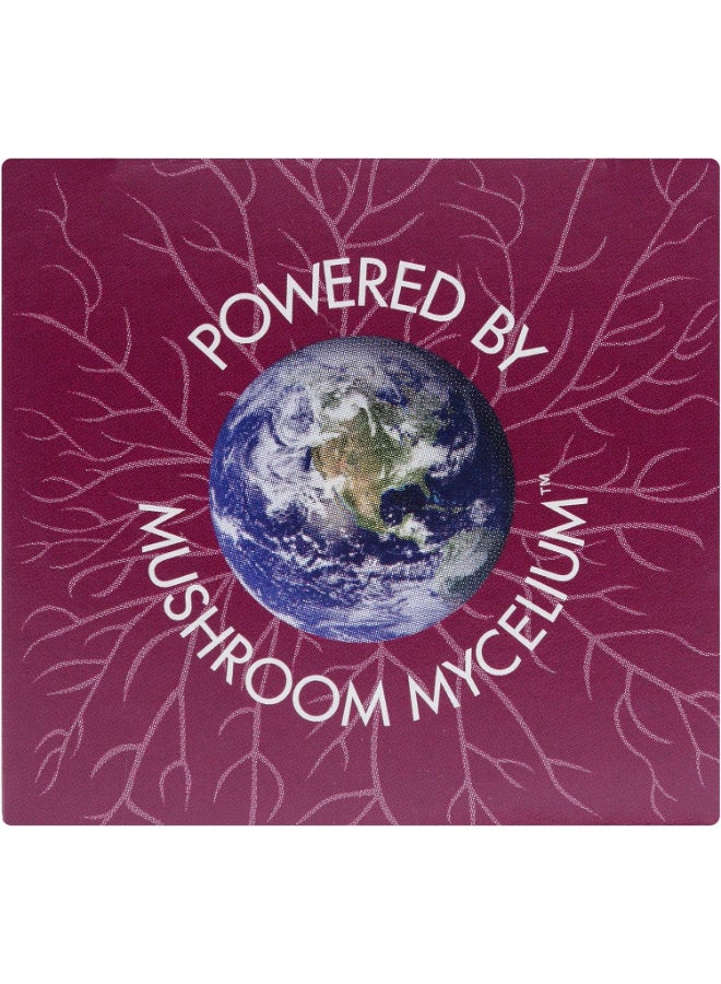 مكمل غذائي توركيش تيل بخلاصة الفطر التركي - العبوة 60 كبسولة نباتية - Image 3