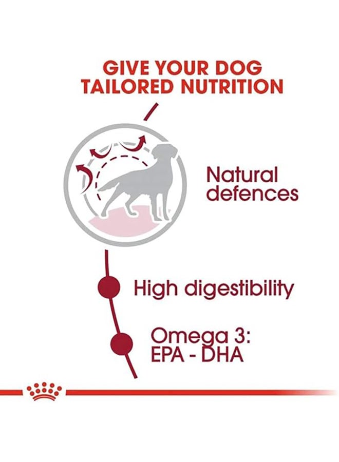 ROYAL CANIN Medium Adult Dog Dry Food 10kg - Image 2