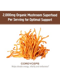 Om Organic Mushroom Nutrition Cordyceps Mushroom Powder 3.5 oz Packaging May Vary  - Image 2