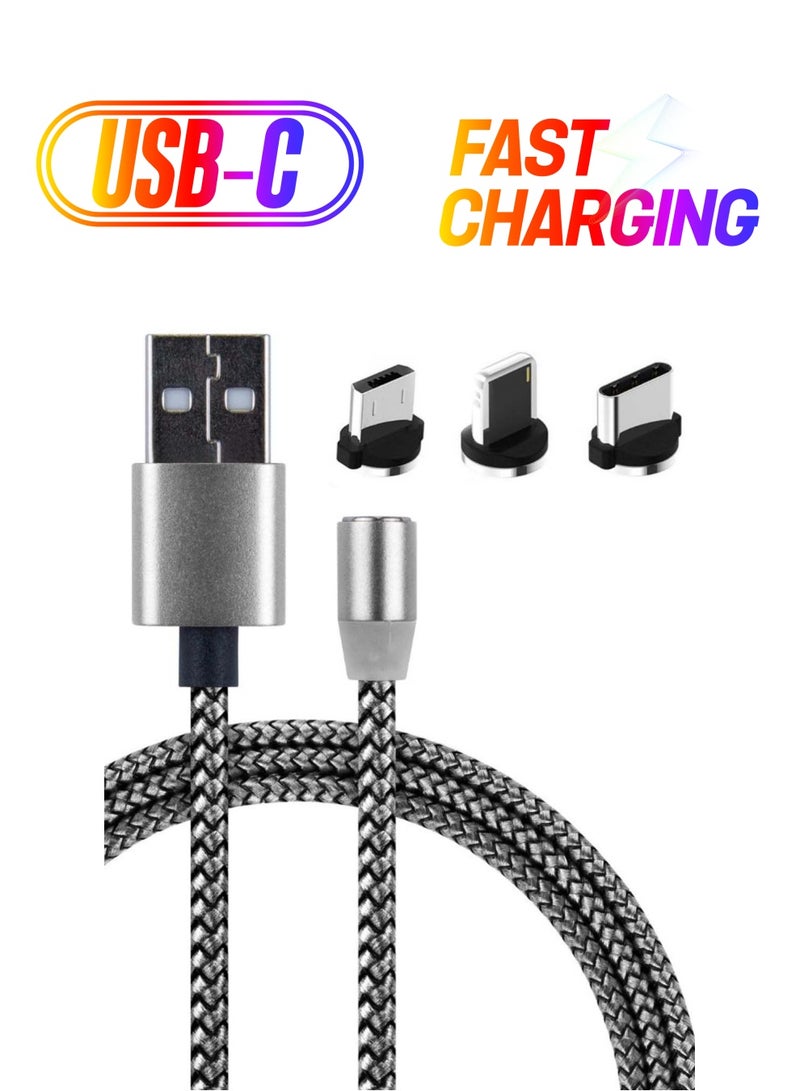 IQ Magnetic Charging Cable With Replaceable USB Head Silver/Black - Image 1
