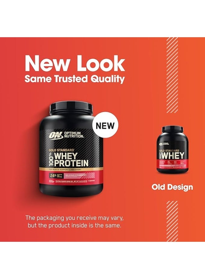 Optimum Nutrition Gold Standard 100% Whey Protein Powder Primary Source Isolate, 24 Grams of Protein for Muscle Support and Recovery - Delicious Strawberry, 5 Lbs, 73 Servings (2.27 KG) - Image 2