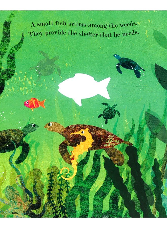 كتاب Sea غلاف صلب الإنجليزية - 2-May-19 - Image 4