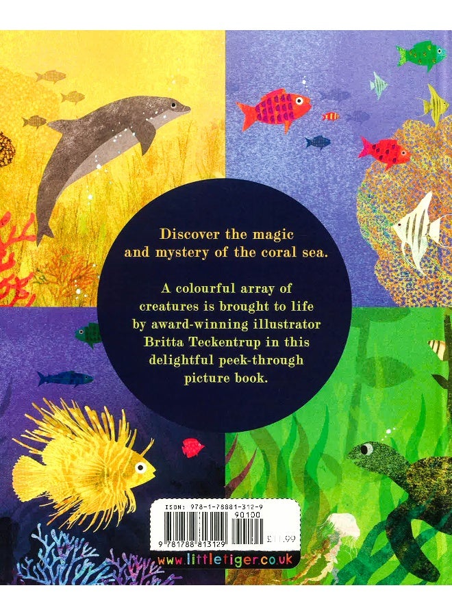 كتاب Sea غلاف صلب الإنجليزية - 2-May-19 - Image 2