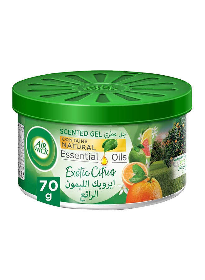 Air Wick - Air Freshener Scented Gel, Exotic Citrus 70grams - Image 1