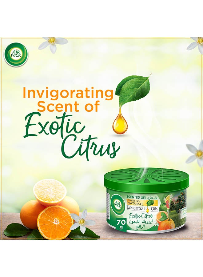 Air Wick - Air Freshener Scented Gel, Exotic Citrus 70grams - Image 1