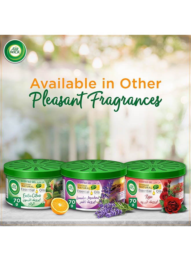 Air Wick - Air Freshener Scented Gel, Exotic Citrus 70grams - Image 1