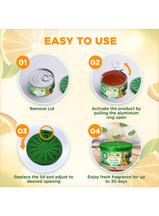 Air Wick - Air Freshener Scented Gel, Exotic Citrus 70grams - Image 1