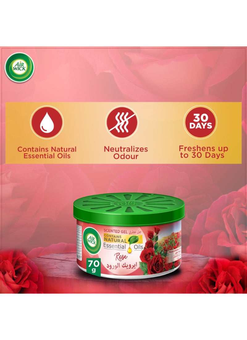 Air Wick Air Freshener Scented Gel Can, Rose 70grams  - Image 3