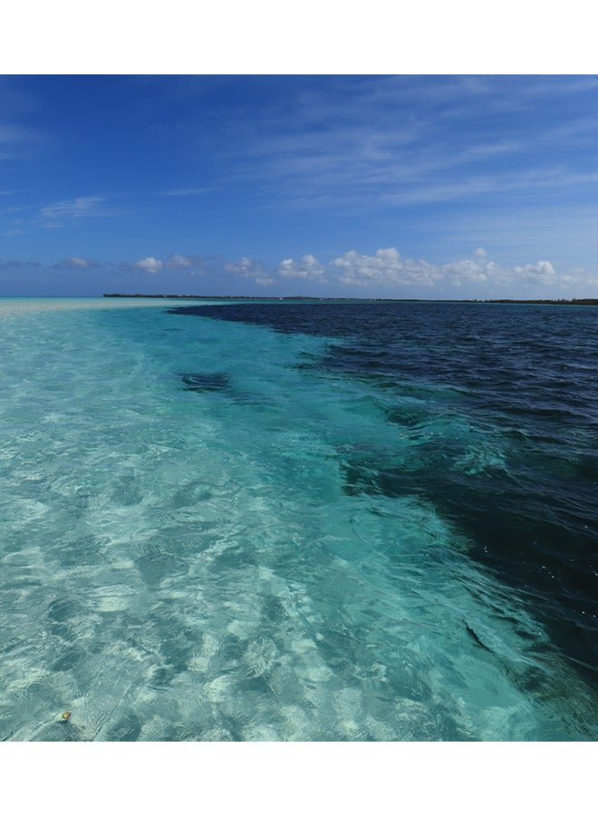 Canon EOS 250D DSLR Camera With EFS 18-55 DC III Lens 24.1 MP APS-C Sensor 5 FPS Vari-Angle Touchscreen 4K Movies Wi-Fi Bluetooth - Image 5