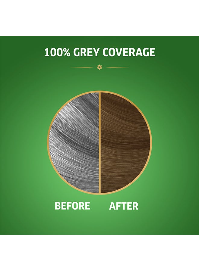 ويلا صبغة الشعر  كولستون ناتشرالز 7/3 أشقر كاراميل - Image 3