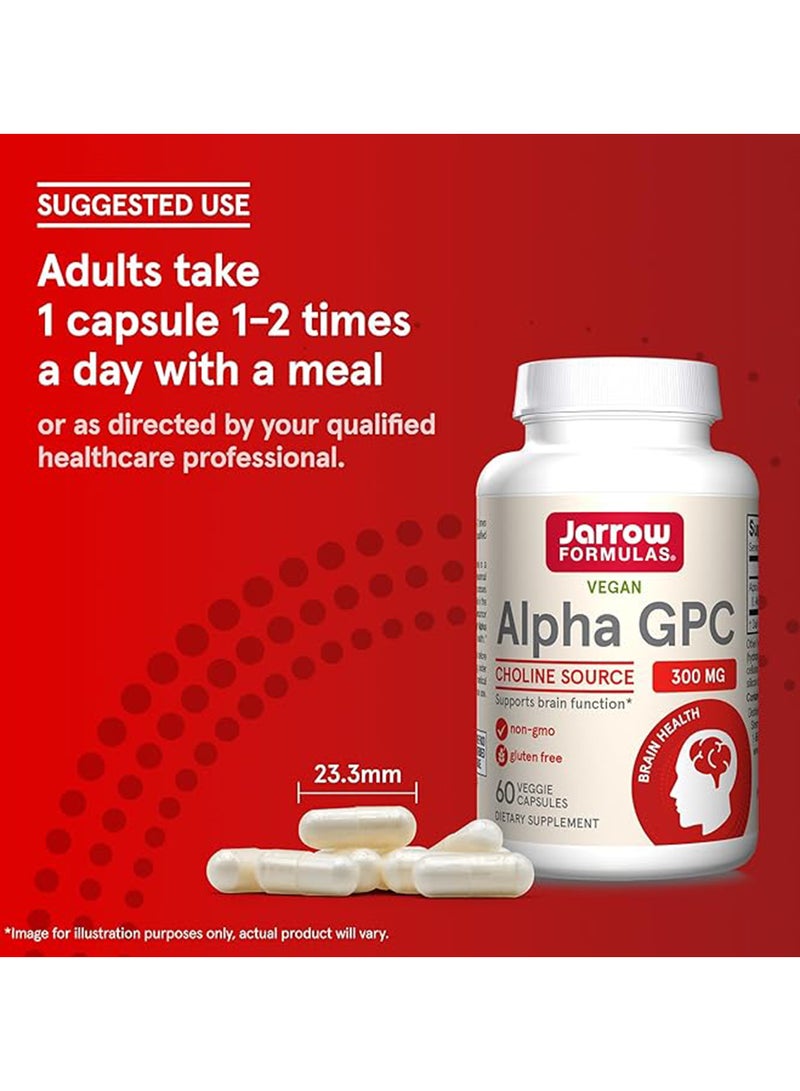 jarrow formulas - Alpha GPC 300mg - 60 Capsules - Image 1