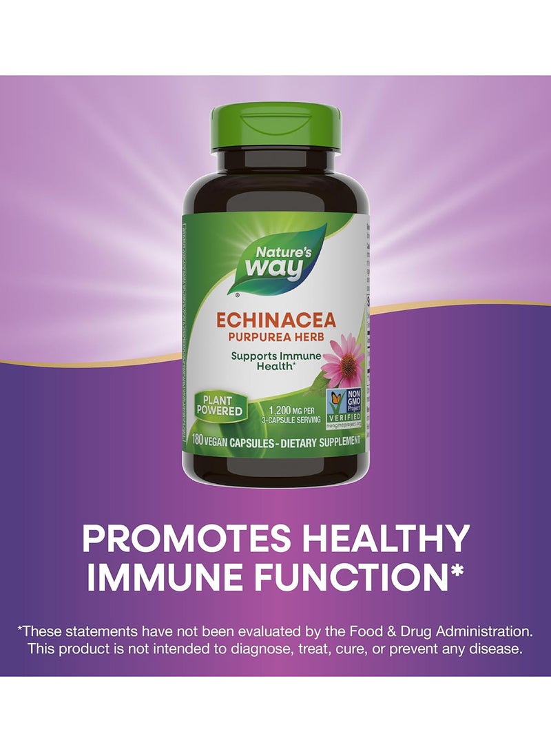 Nature's Way Echinacea Purpurea Herb, 1200 mg, 180 Vegan Capsules, Packaging may vary - Image 3