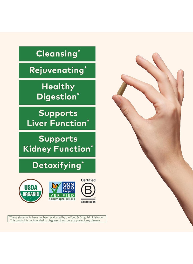 Organic India - Liver Kidney, 90 Vegetarian Caps - Image 1
