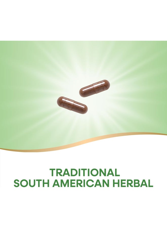 Nature's Way Pau D'Arco, Inner Bark 100 Vegan Capsules Packaging May Vary - Image 4