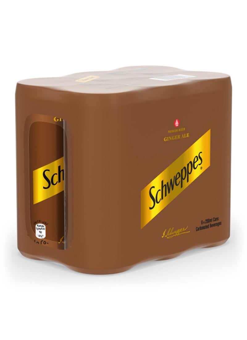 Schweppes Ginger Ale Carbonated Drink Can Ginger 250ml Pack of 6  - Image 2