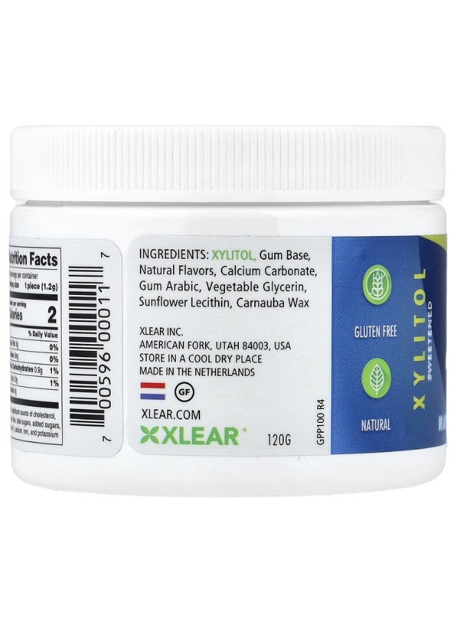 إكسلير مجموعة علكة للمضغ بنكهة النعناع الفلفلي سبري - 100 قطعة 108جرام - Image 3