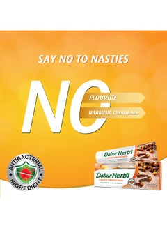 Dabur Herbal Cavity Protection Clove Toothpaste With Toothbrush Pack of 2 150.0grams  - Image 5