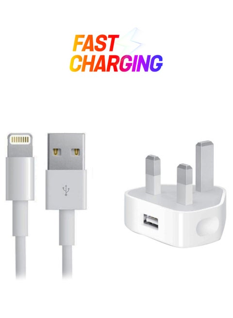 Lightning Data Sync And Charging Cable With Adapter White/Silver