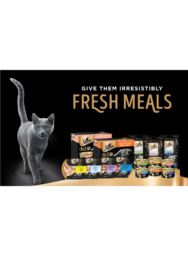Sheba - Tuna Flavour Creamy Treats 4 Pouches Multicolour 12grams - Image 1