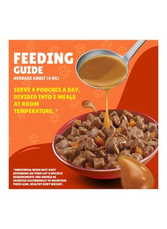 PURINA Friskies Duck Chunks In Gravy Wet Cat Food Pouch Multicolour 85grams  - Image 4