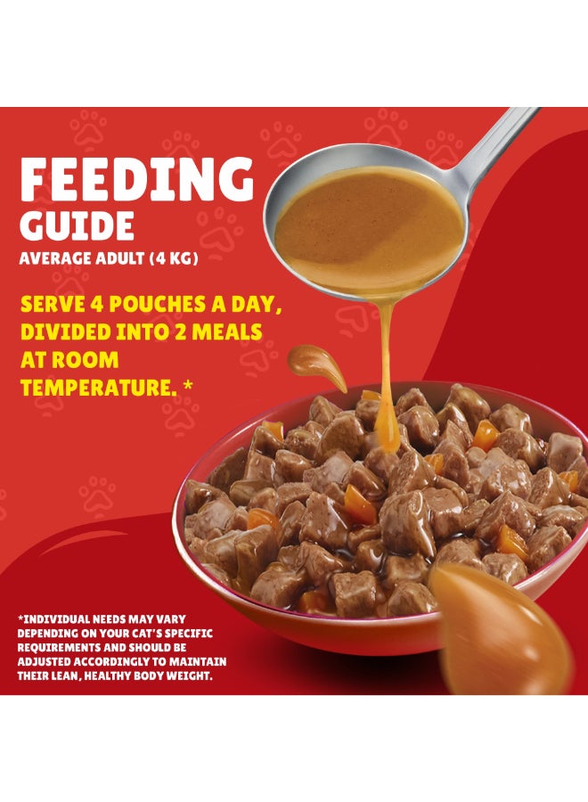 PURINA - Friskies With Turkey In Gravy Sauce Cat Food Pouch 85grams - Image 1