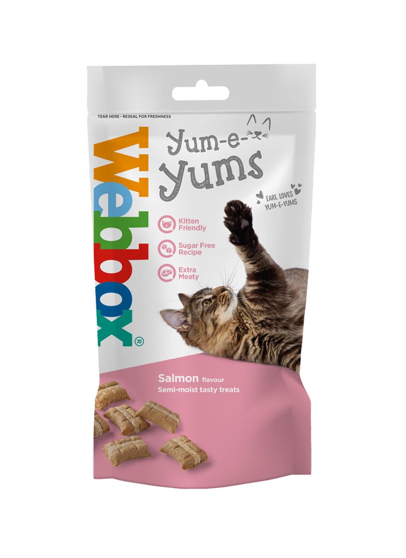 Webbox Yum-E-Yums Salmon Cat Treats Multicolour 40grams  - Image 1