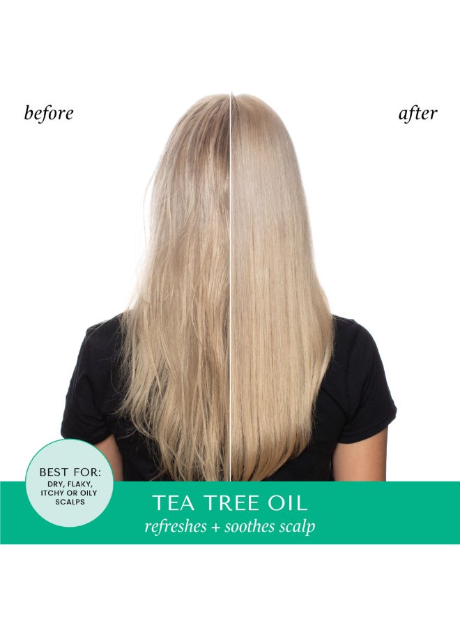 HASK - Tea Tree Oil & Rosemary Conditioner 355ml 355ml - Image 1