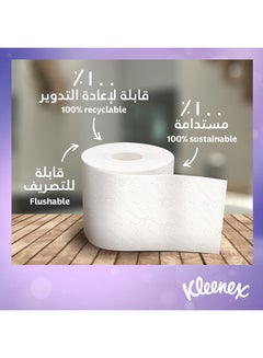 3 Ply Extra Dry Toilet Tissue Paper 12 Rolls White 160 Sheets - pnsku/N35091518A/45/_/1701175802/71d9b534-1421-4877-ab09-eef4d2f29efe