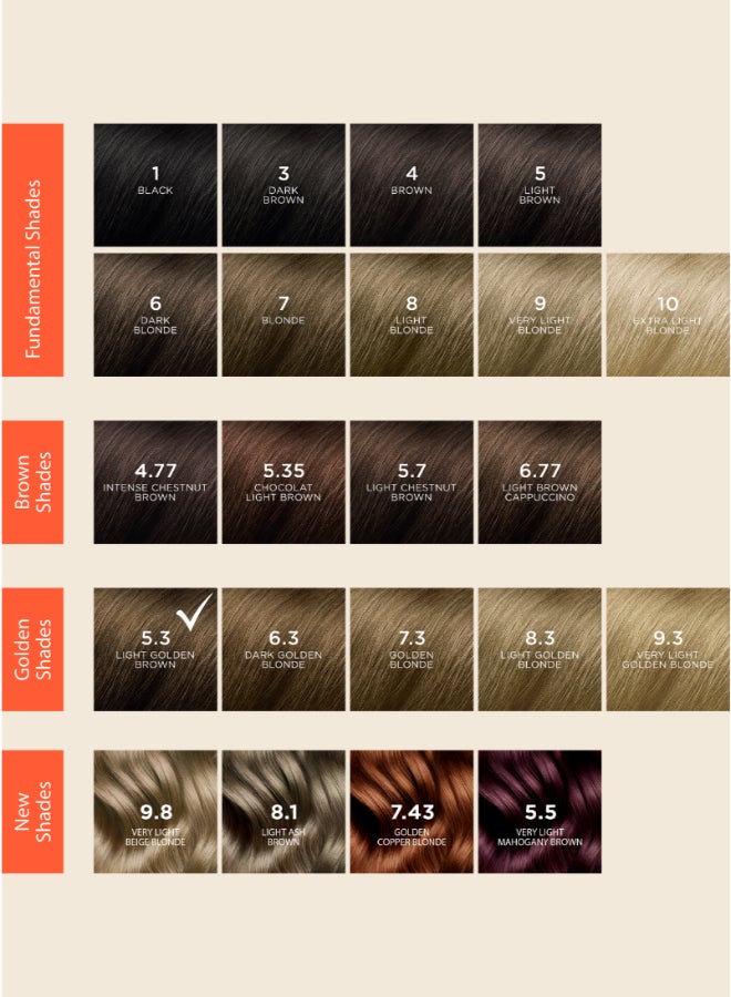 Phyto Botanical Pigment Permanent Hair Colour 5.3 Chatain Clair Dore Light Golden Brown Light Golden Brown 110ml - Image 5