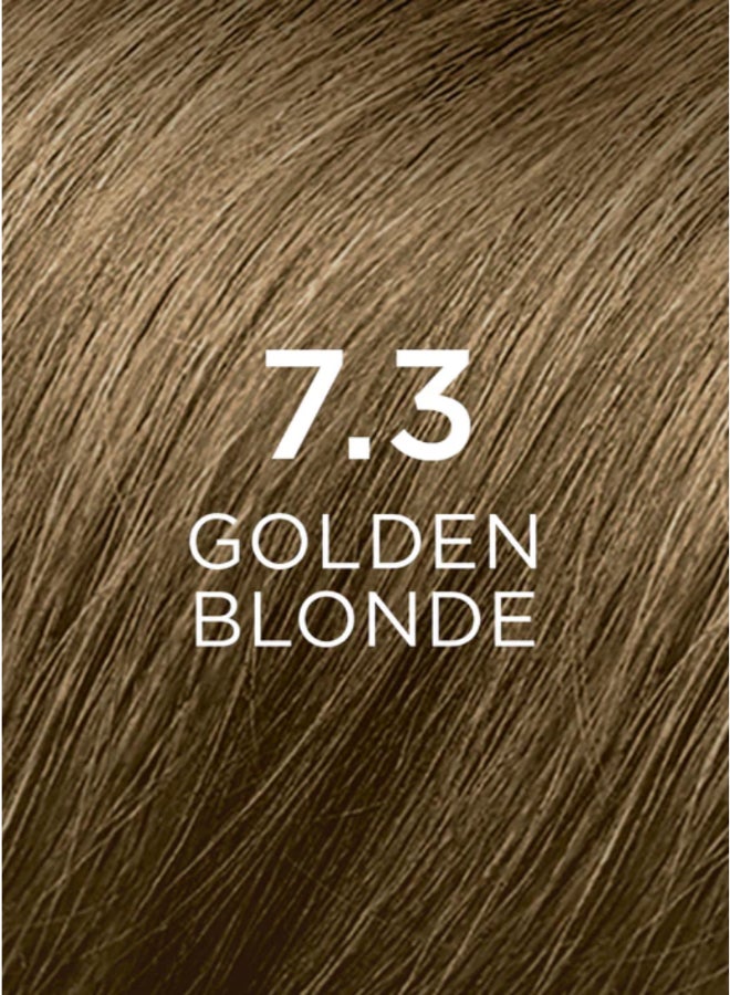 Phyto Botanical Pigment Permanent Hair Colour 7.3 Blond Dore Golden Blonde Golden Blonde 110ml - Image 4