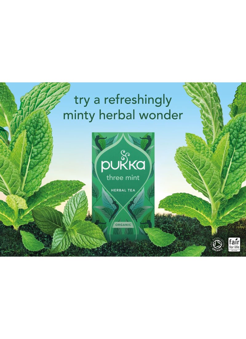 بوكا عبوة شاي عضوي ثري مينت تحتوي على 20 كيس 32جرام - Image 5