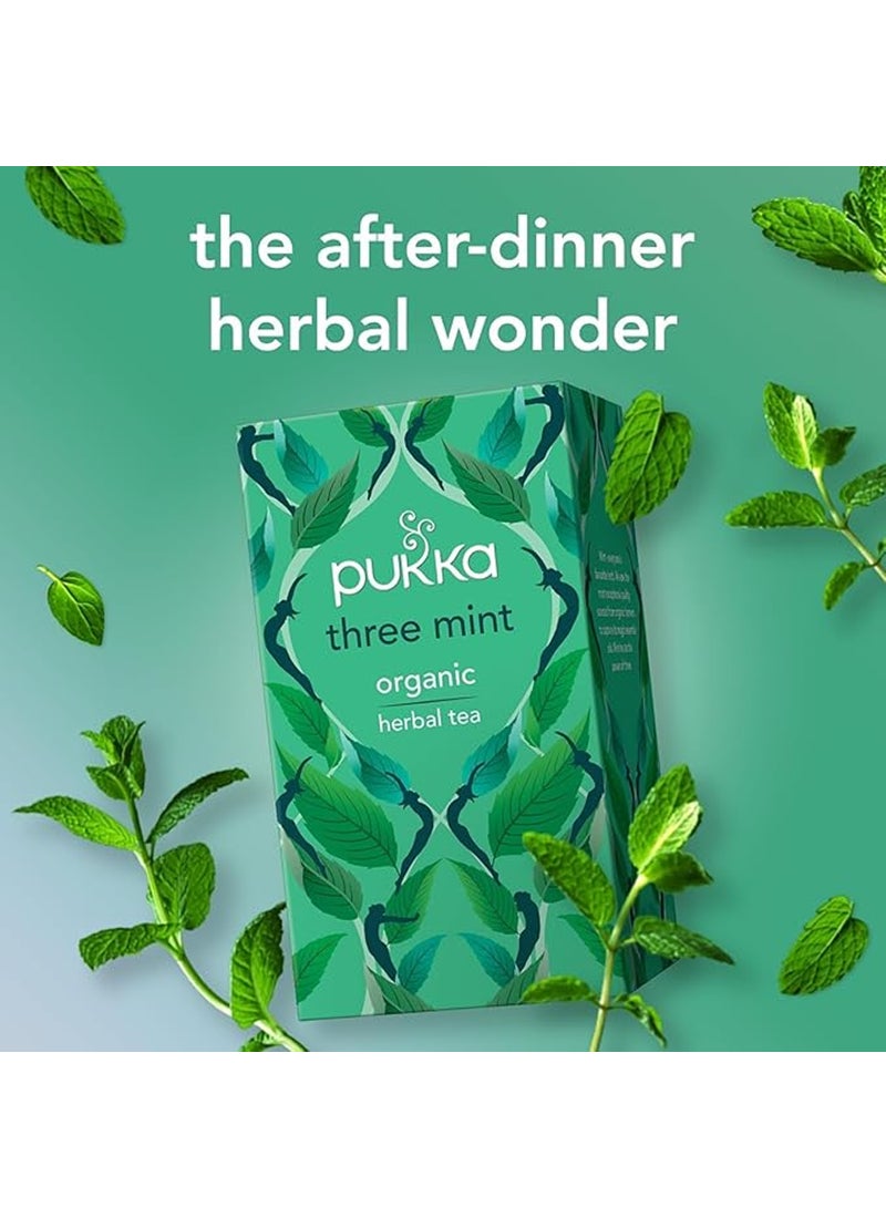 بوكا عبوة شاي عضوي ثري مينت تحتوي على 20 كيس 32جرام - Image 3