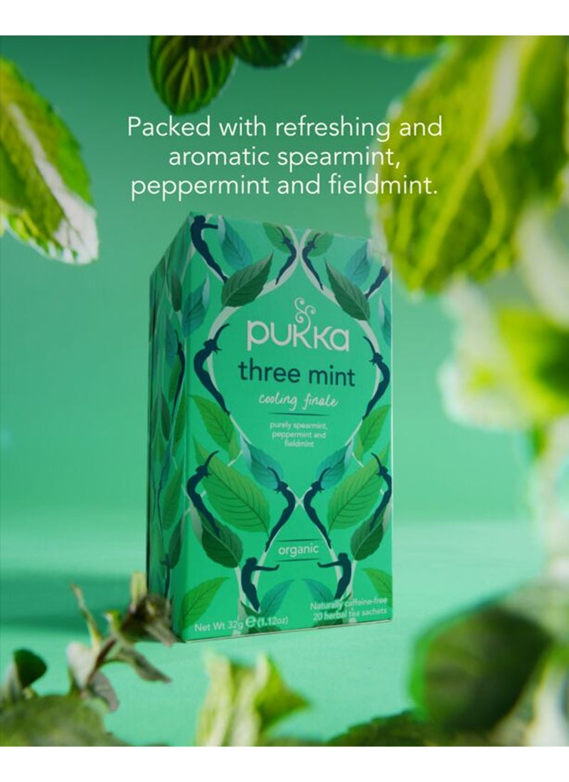 بوكا عبوة شاي عضوي ثري مينت تحتوي على 20 كيس 32جرام - Image 4