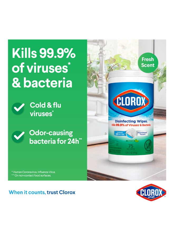 Disinfecting Fresh Scent Wet Wipes 75 Count Green - pnsku/N36138518A/45/_/1725015391/cab19130-1e6d-4098-a47b-3900d02f739b