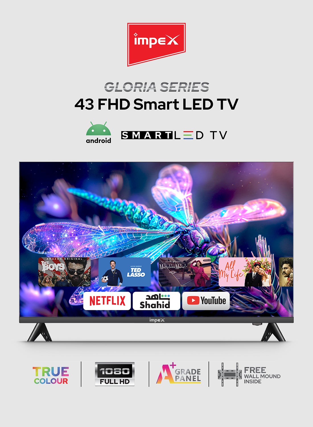 43-Inch Full HD Smart LED TV - Android, Quad Core, Frameless, A+ Panel, Wi-Fi, 2 HDMI, 2 USB, RJ45, 1920x1080 Resolution, 178° View, Slim Design, 2 Year Warranty - Gloria 43 Smart Black