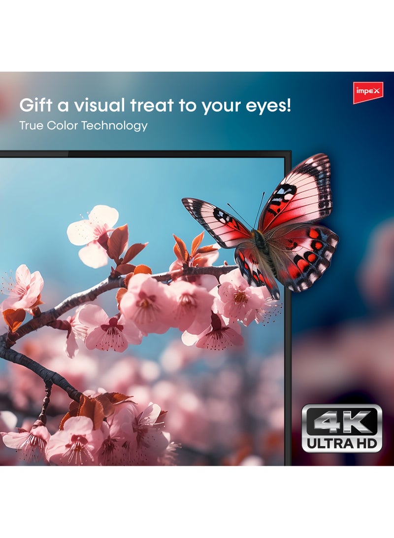 إمبكس - تلفزيون غلوريا الترا اتش دي 4K الذكي ال اي دي 58 بوصة جلوريا 58 يو اتش دي اسود Gloria 58 UHD أسود - Image 1