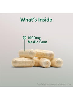jarrow formulas Vegan Mastic Gum 1000 Mg 60 Veggie Capsules Packaging May Vary  - Image 4