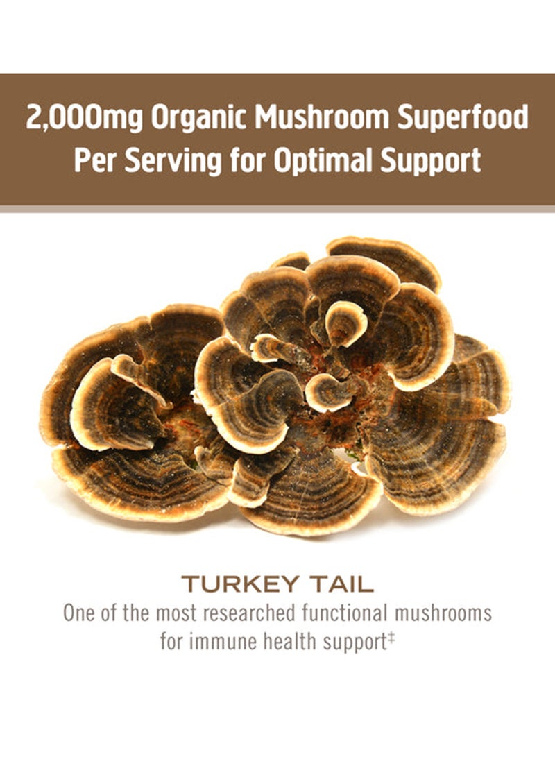 OM Turkey Tail - 90 Capsules - pnsku/N36648989A/45/_/1723793900/12b924d1-be67-4189-8e92-78844f210fd1