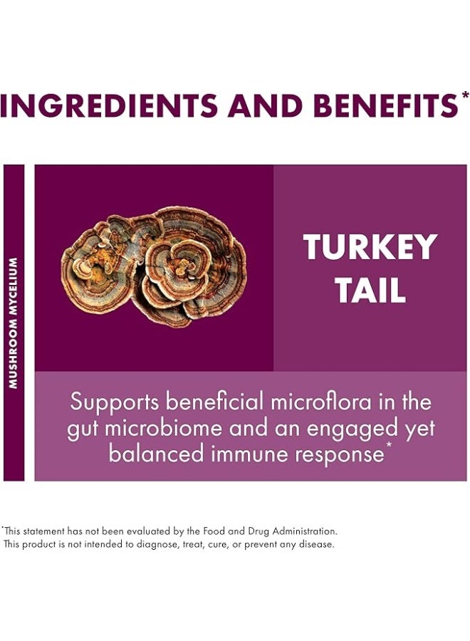 فنغي بيرفكتي مسحوق فطر ذيل الديك الرومي 3.5 أونصة (100 جرام) - Image 3