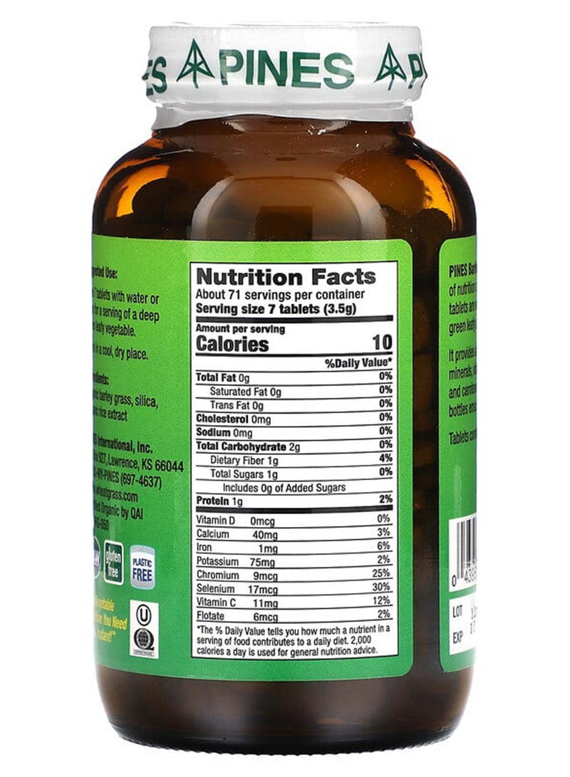 باينز إنترناشيونال عشب الشعير - مكون من 500 قرص - Image 2