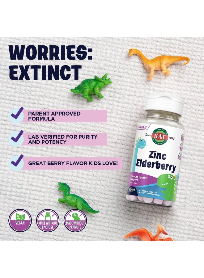 KAL Zinc Elderberry, Immune Support, 90 Micro Tablets Packaging May Vary - Image 5