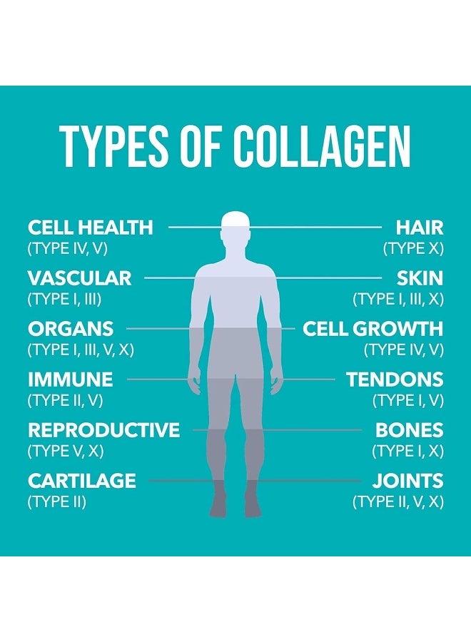 Natures Plus - Collagen Peptides Supplement 0.65 lb (294 g) - Image 1