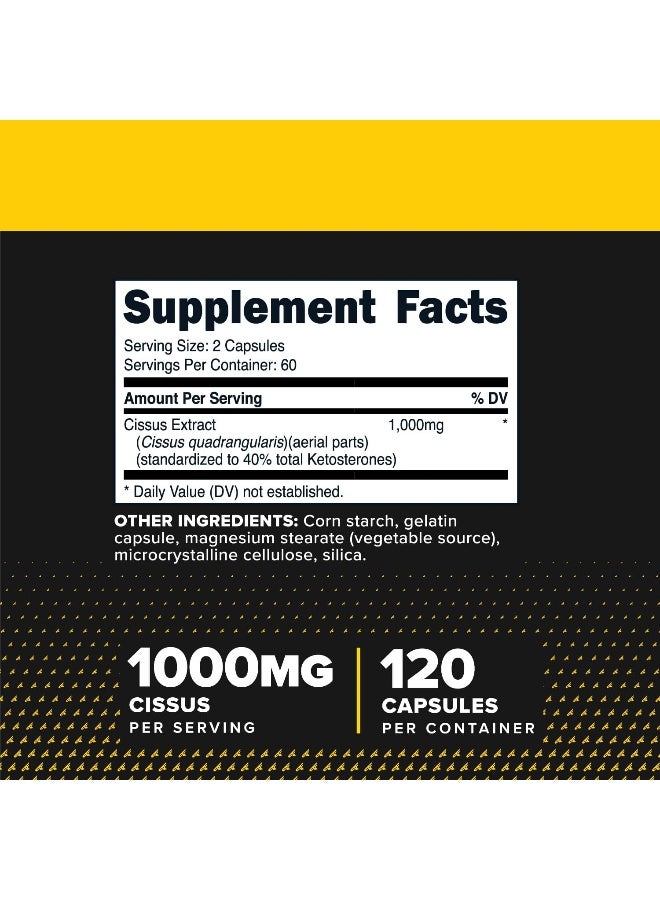 Primaforce Cissus Optimal Joint Health - 120 Veggie Capsules - Image 2