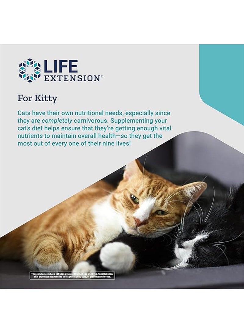 Life Extension - Cat Mix Advanced Multi-Nutrient Formula - (100g)3.52 Oz Multicolour - Image 1