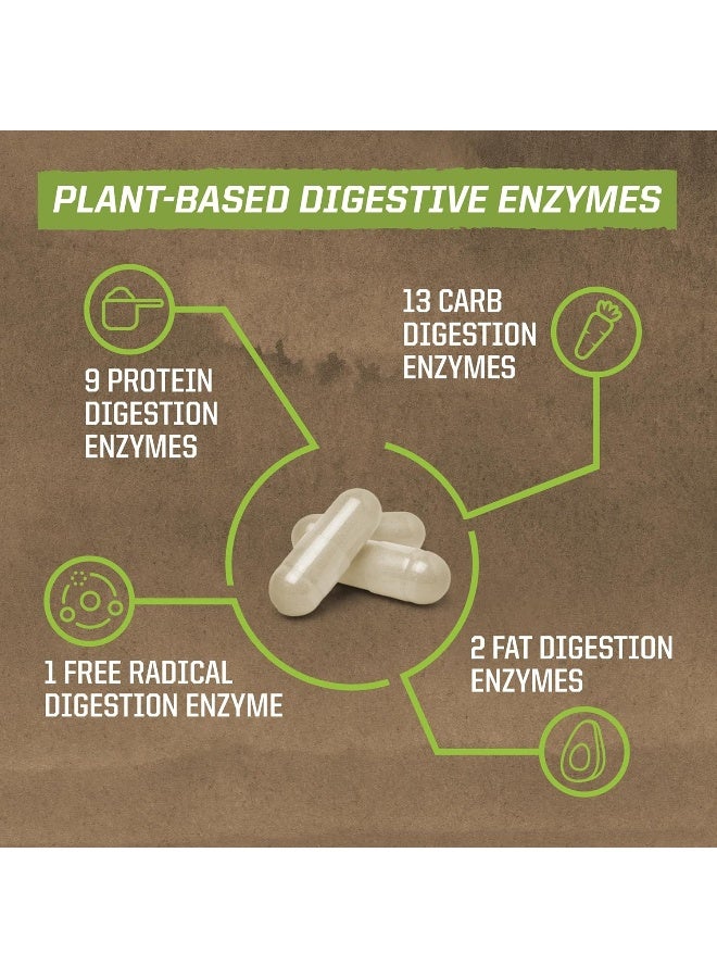 Digestive Enzymes, Enzorb , 90 Vegan Capsules Packaging May Vary - pnsku/N37082324A/45/_/1740988901/3f37b40d-0a7d-4470-9128-9012070685a7